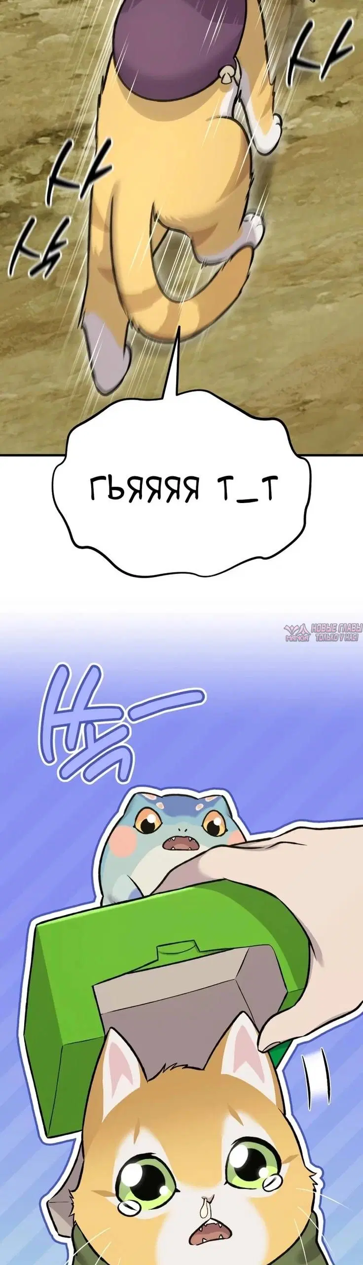 Page 46.000