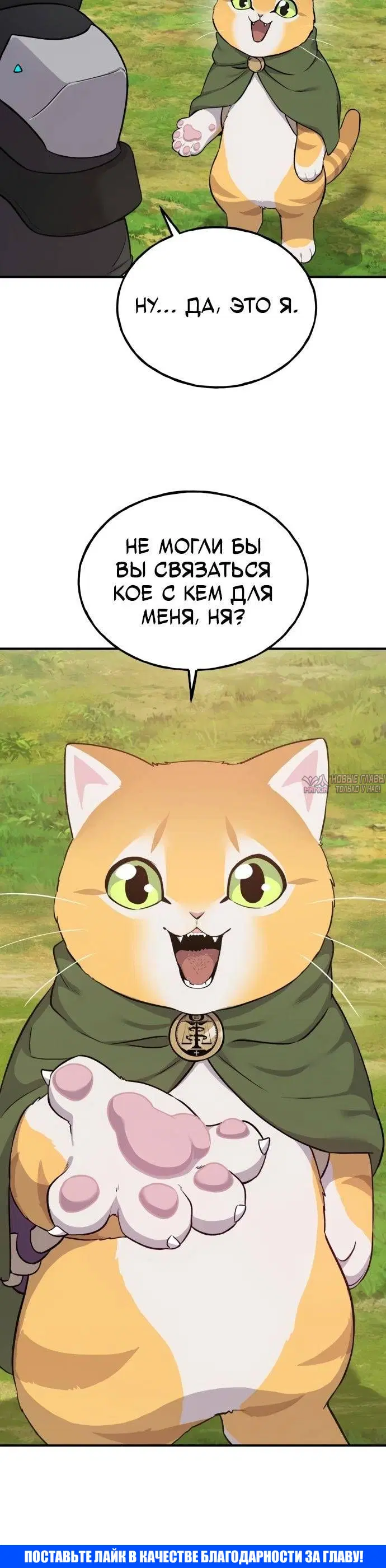 Page 46.000