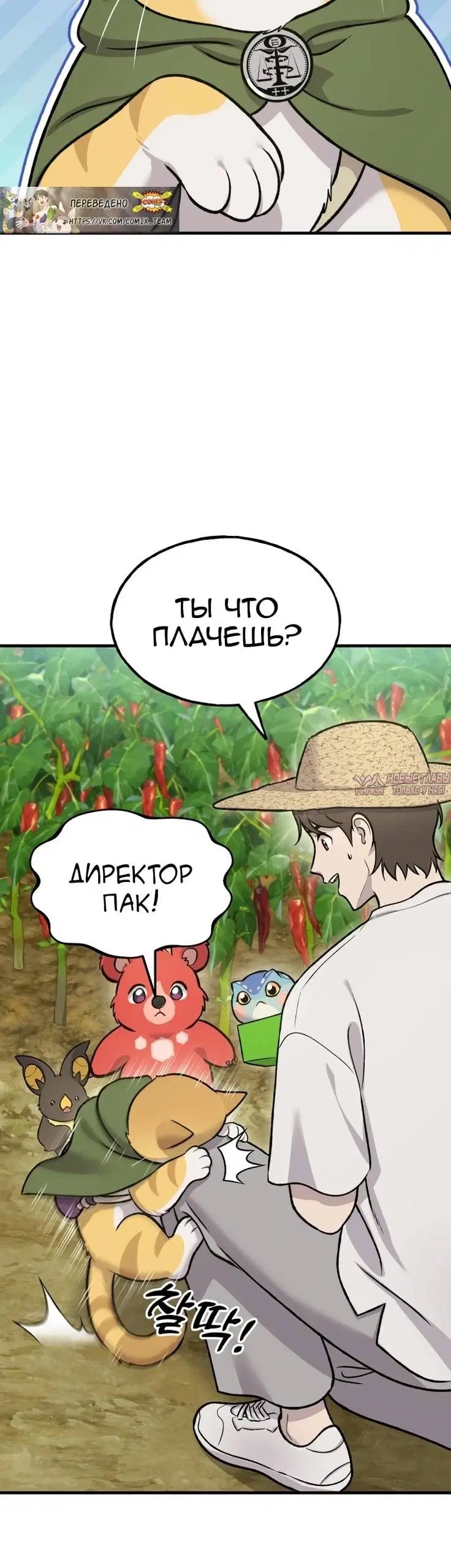 Page 47.000