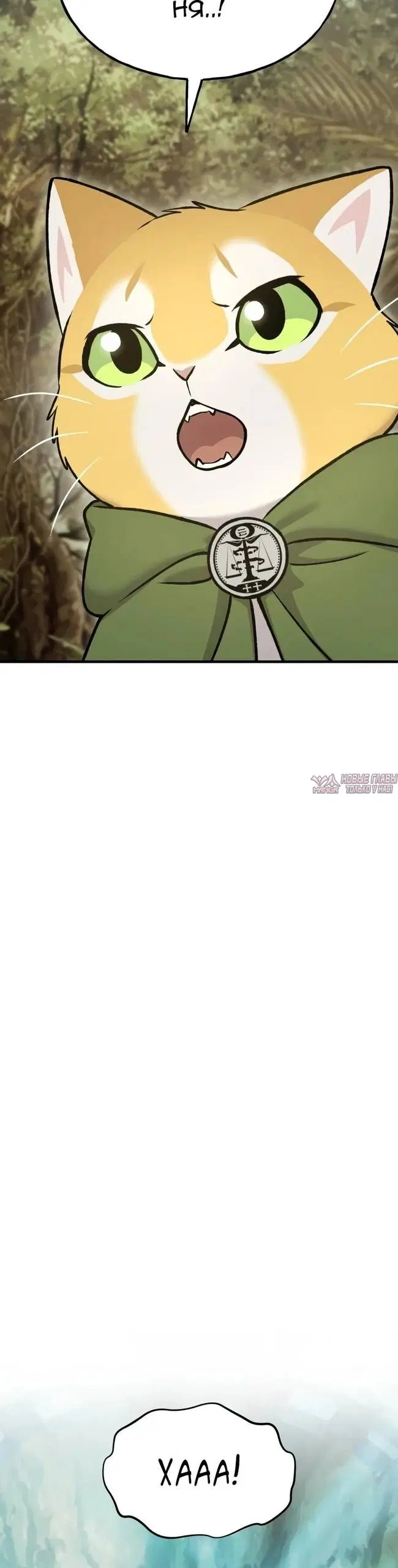 Page 47.000