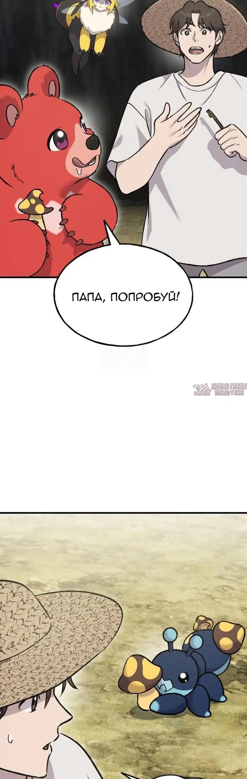 Page 49.000