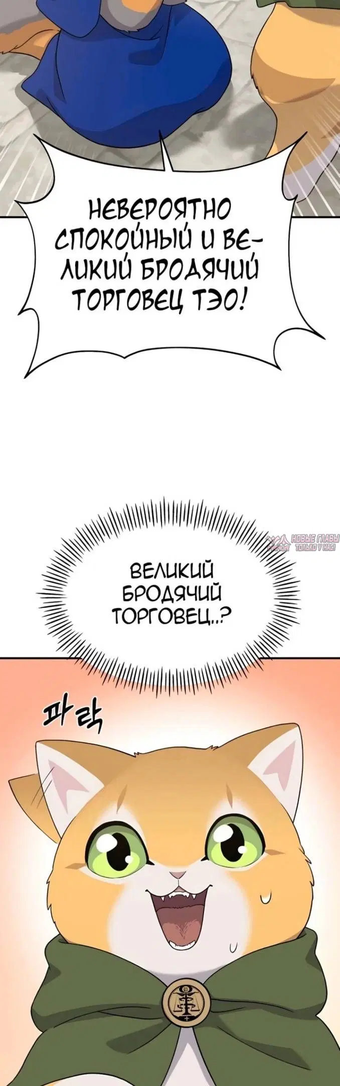 Page 49.000