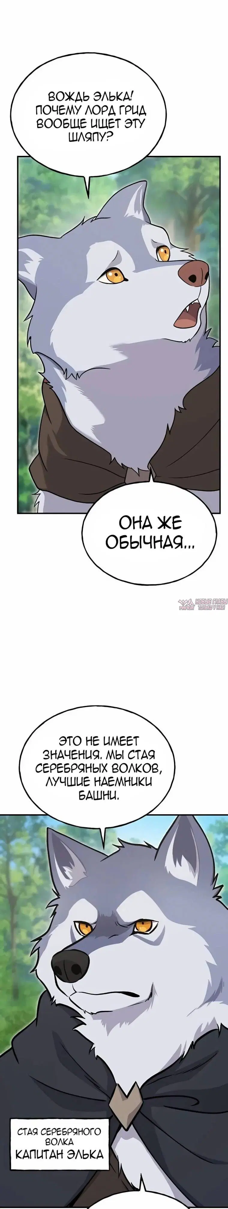 Page 40.000