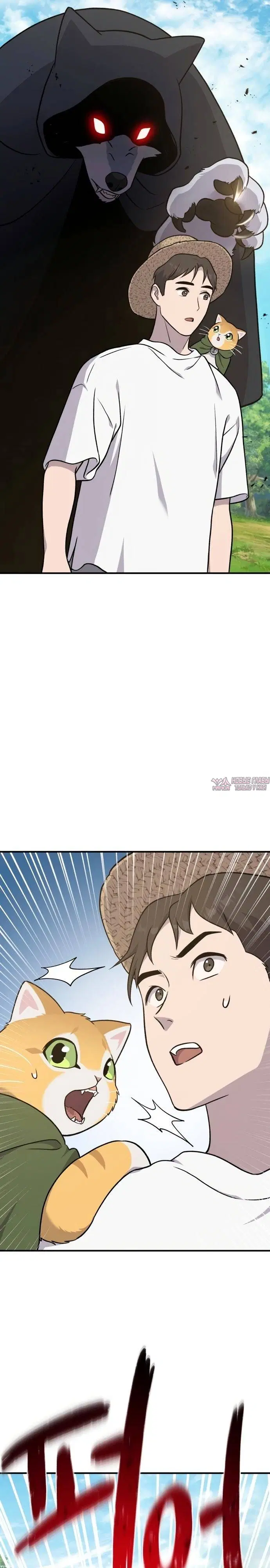 Page 40.000