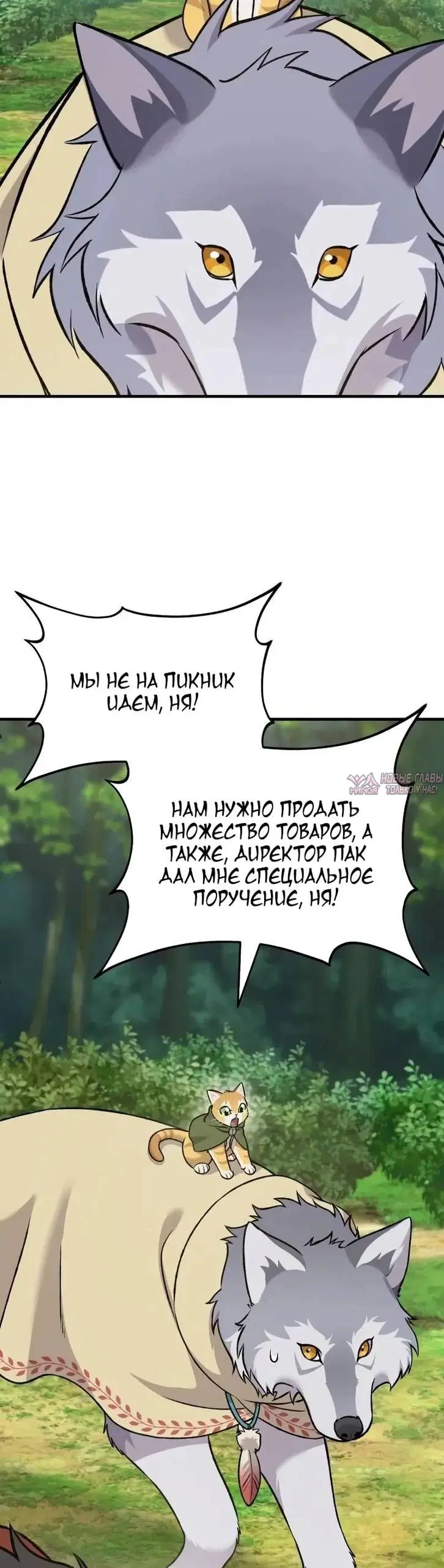 Page 40.000