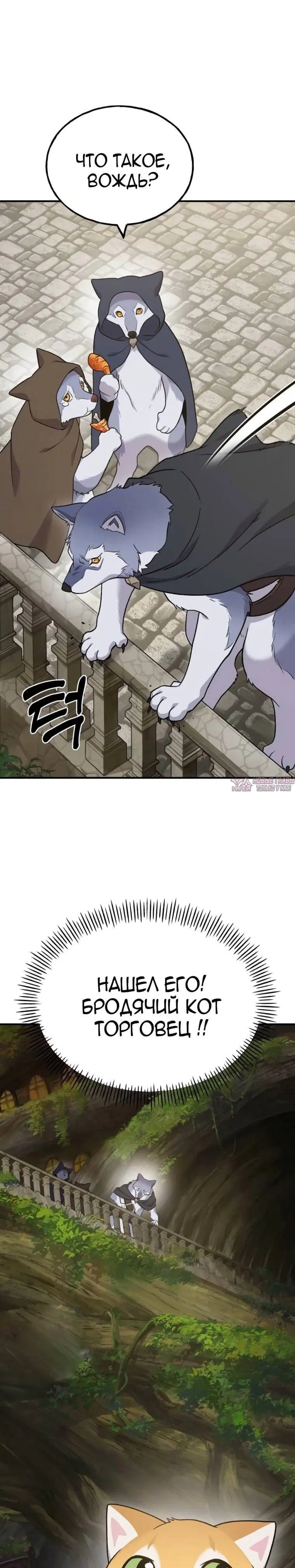 Page 41.000