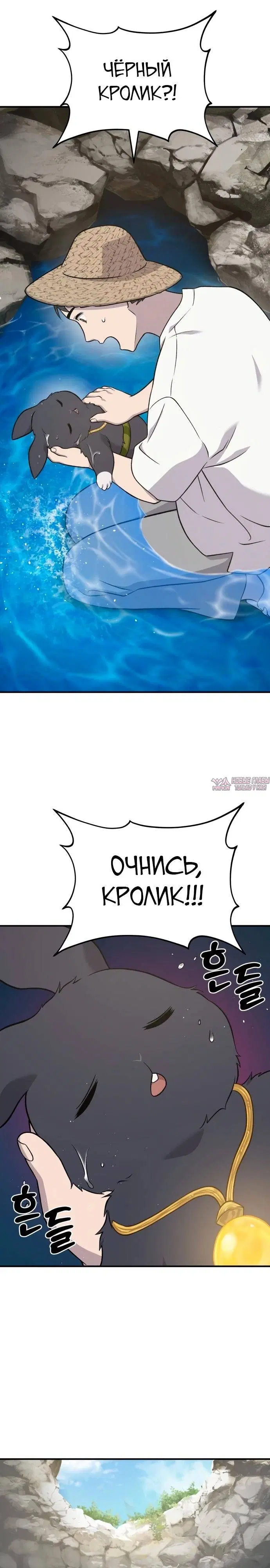 Page 41.000