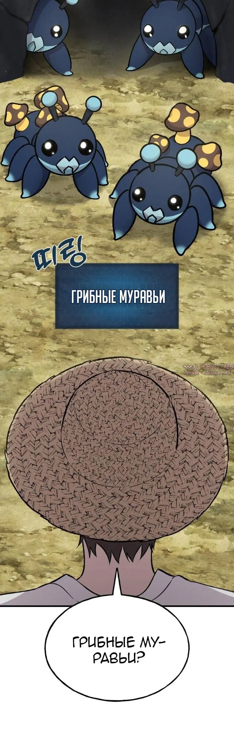 Page 41.000