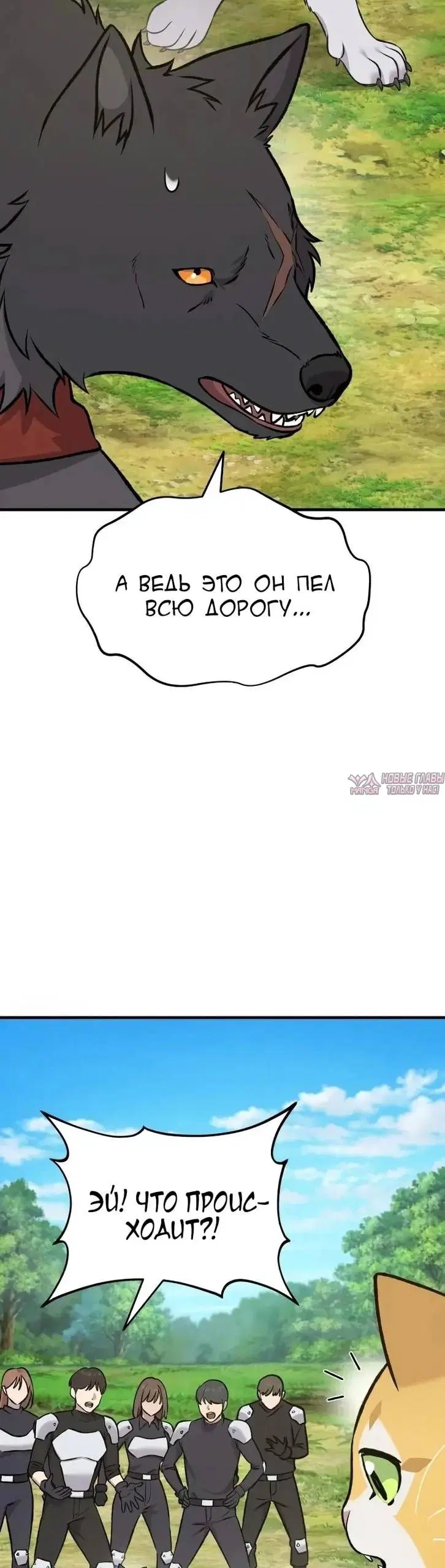 Page 41.000