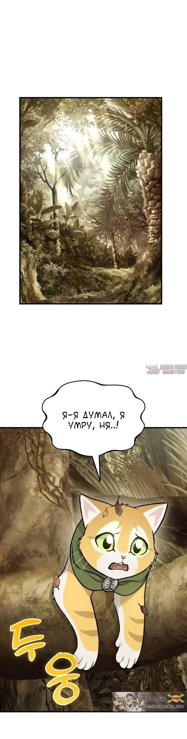 Page 41.000