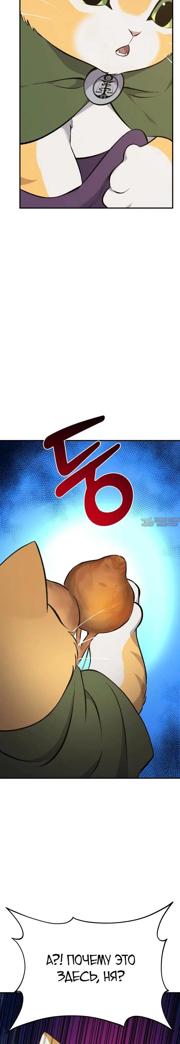 Page 41.000