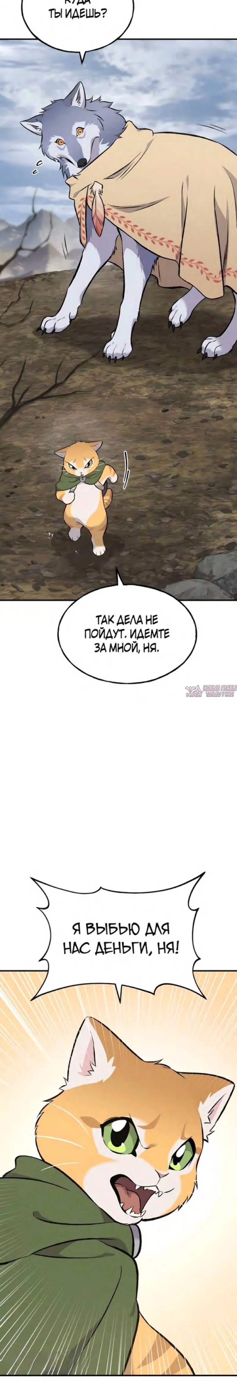 Page 41.000