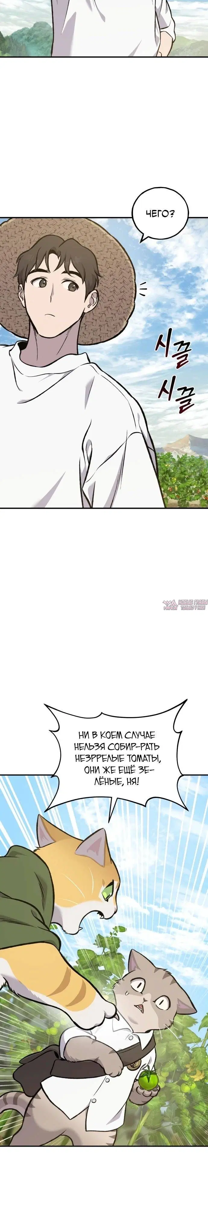 Page 41.000