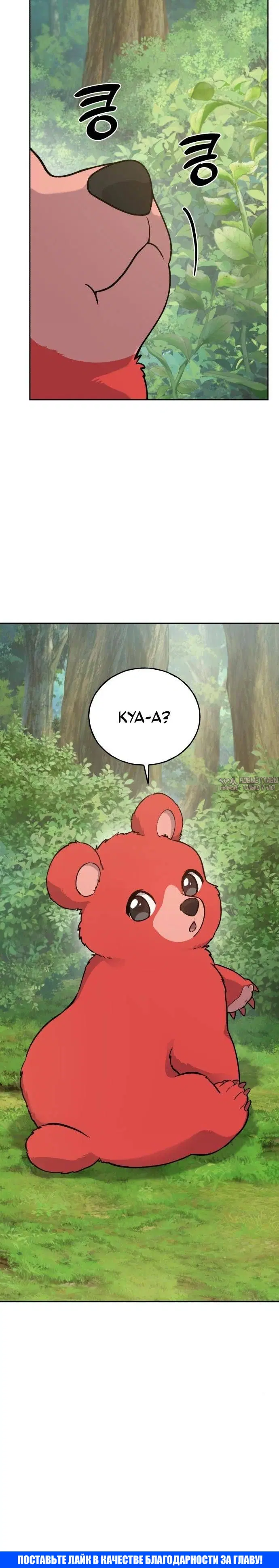 Page 41.000