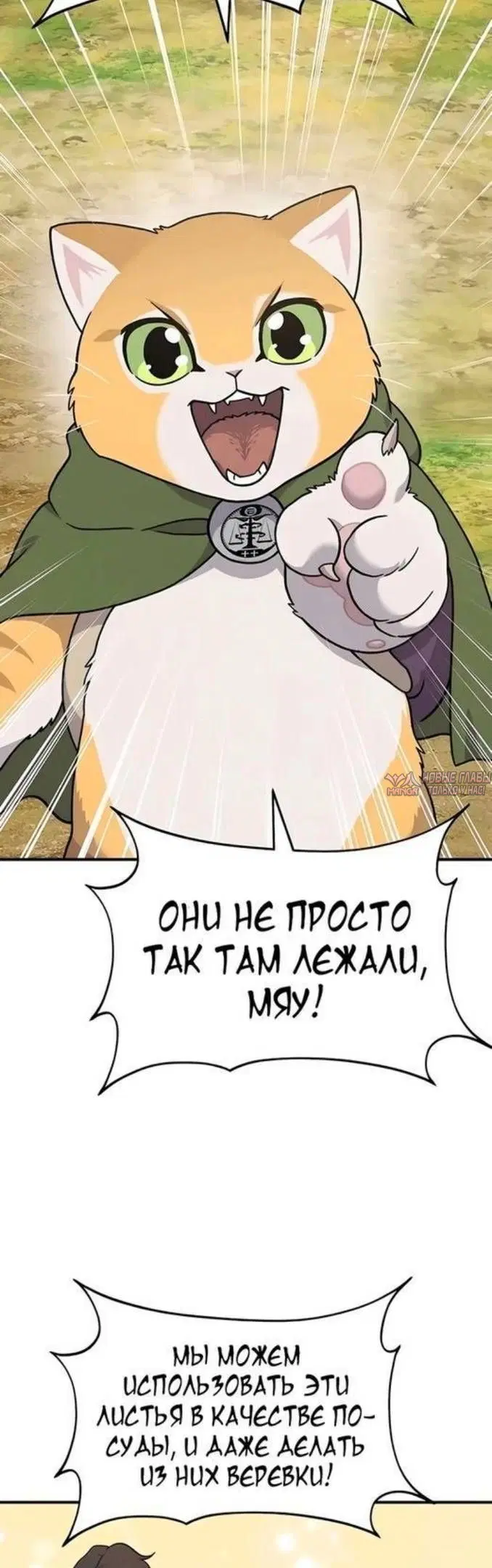 Page 42.000
