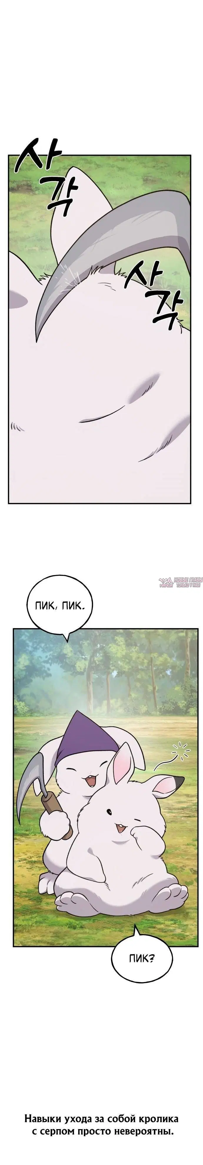 Page 42.000