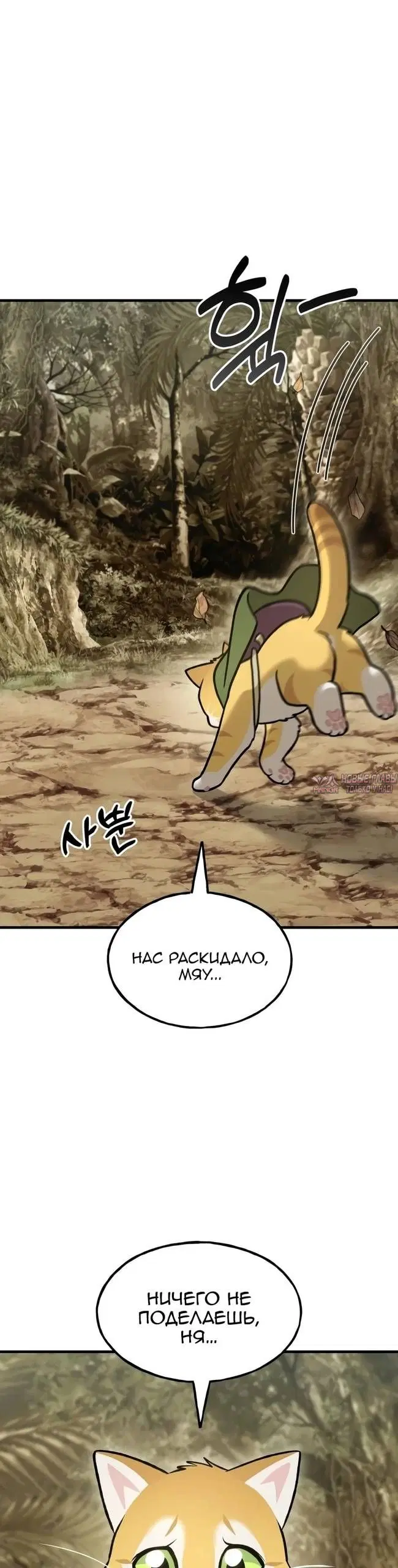 Page 42.000