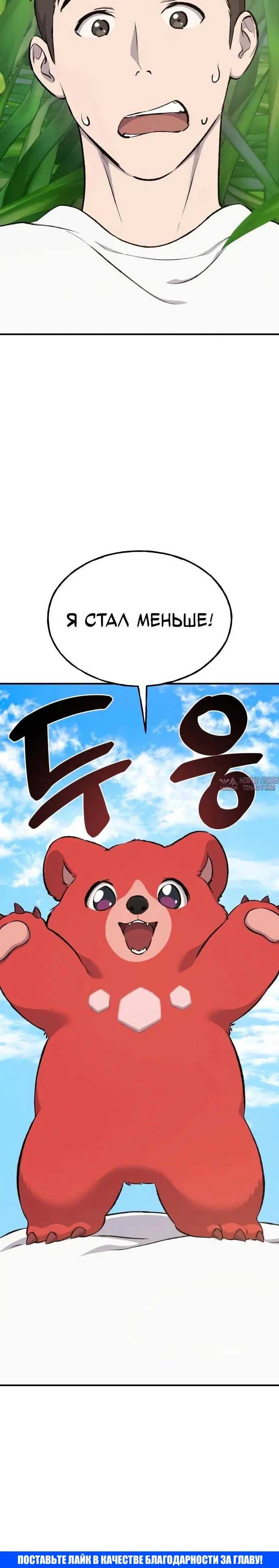 Page 42.000