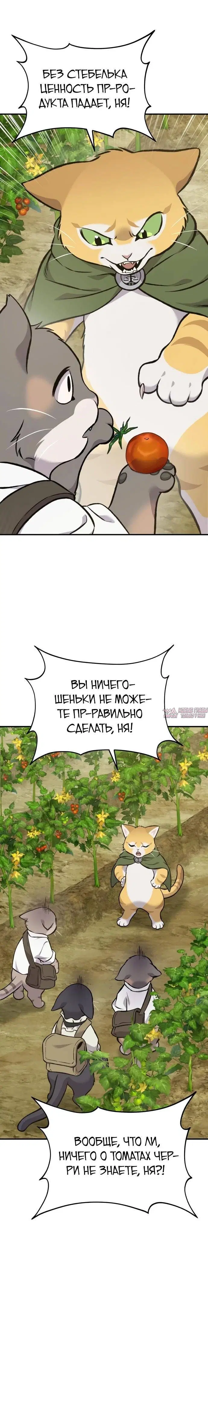 Page 42.000