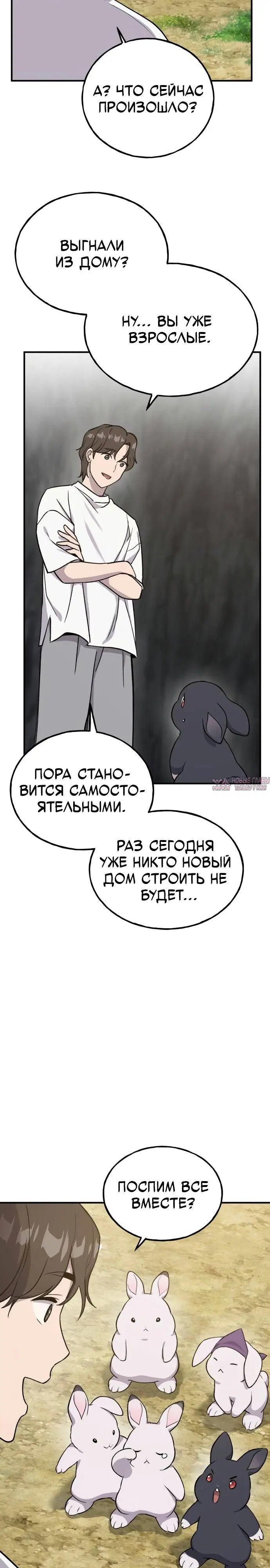 Page 42.000