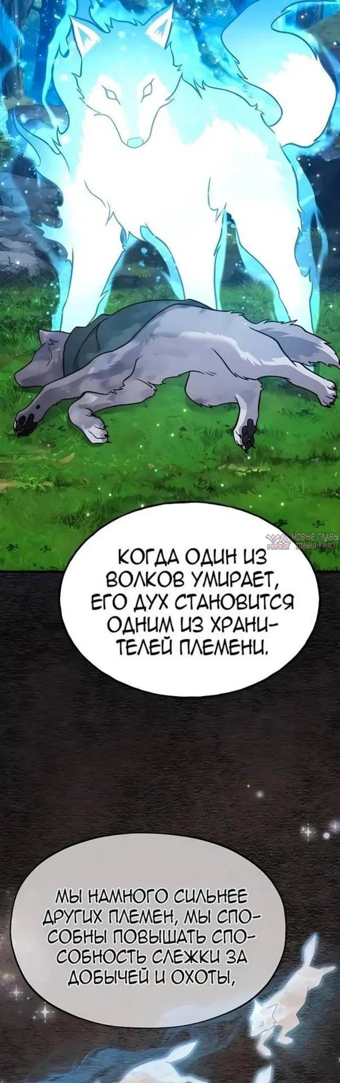 Page 43.000