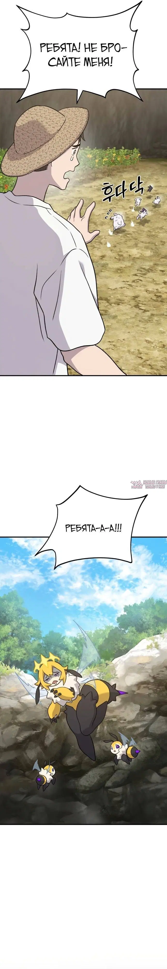 Page 43.000
