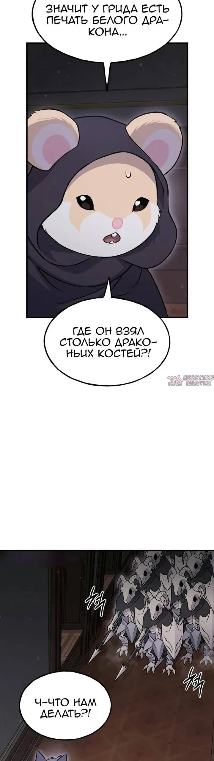 Page 43.000