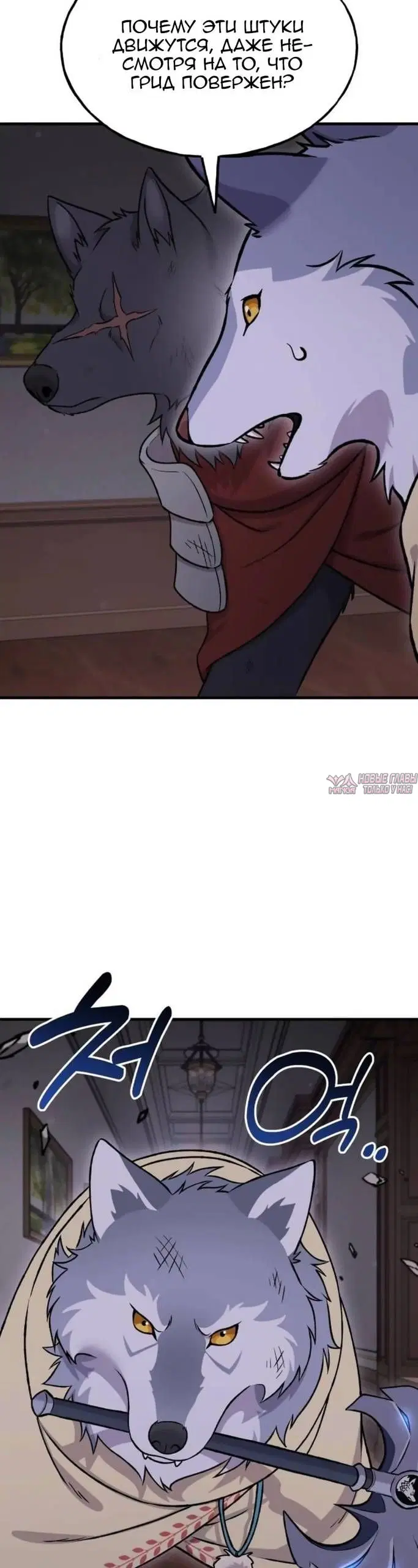Page 43.000