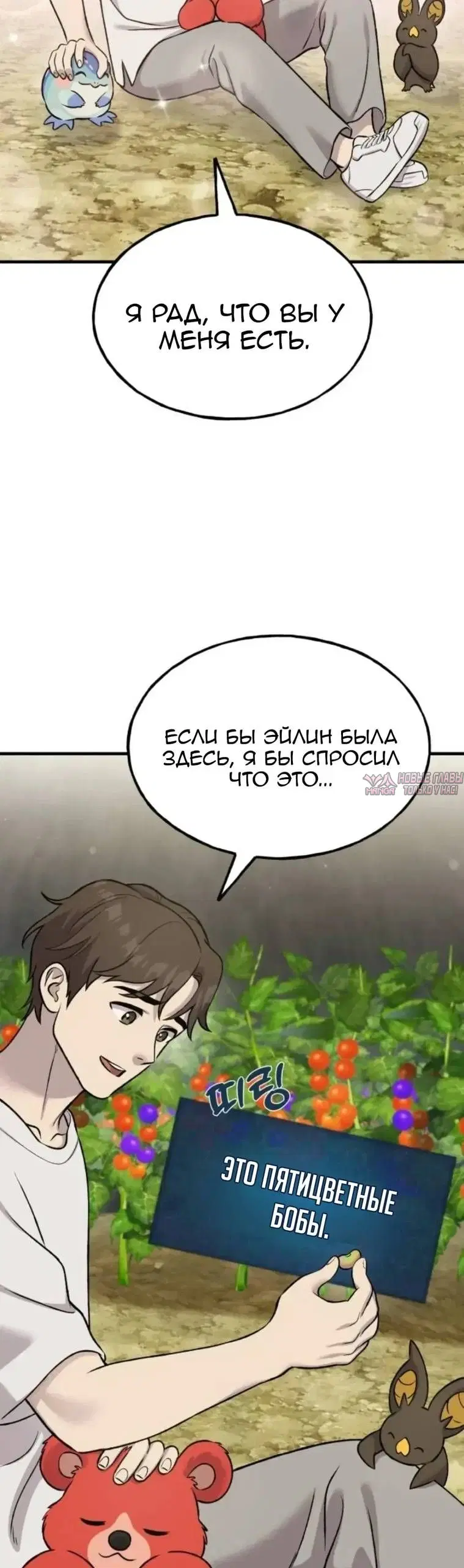 Page 43.000