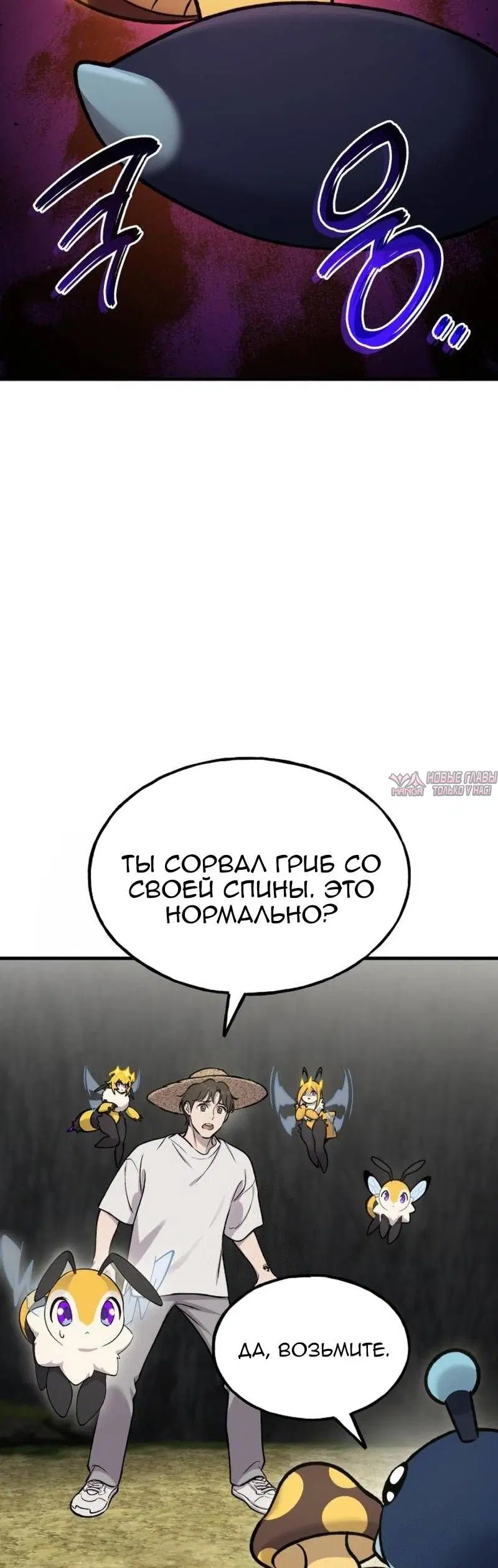 Page 43.000