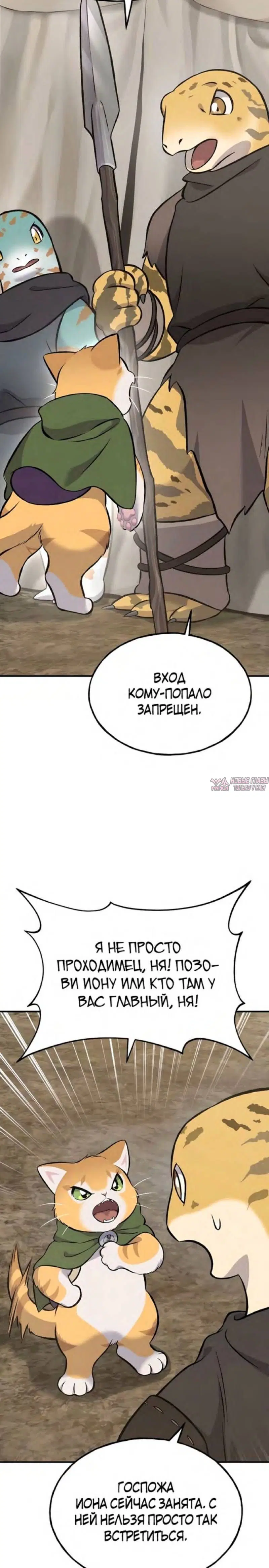 Page 43.000