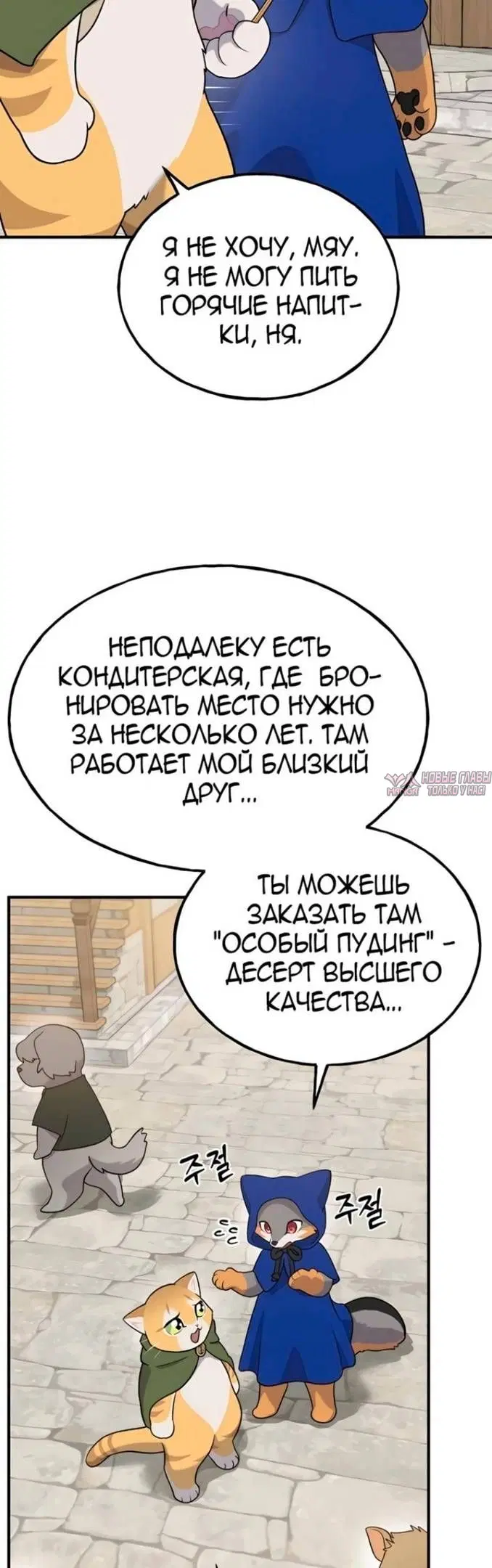 Page 43.000