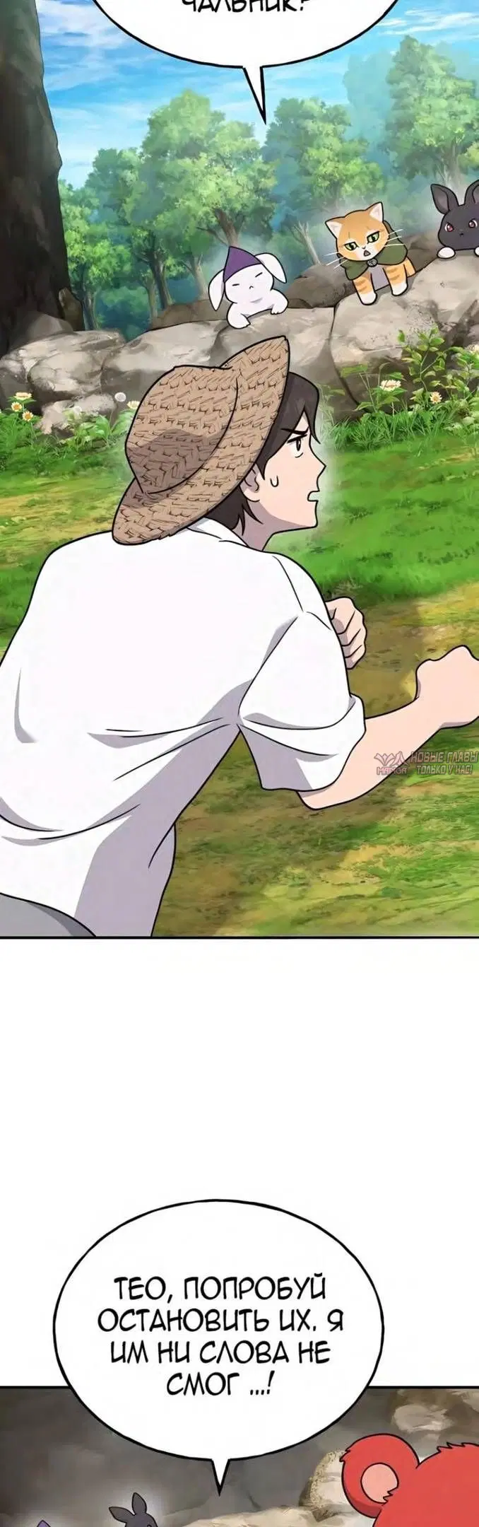 Page 54.000