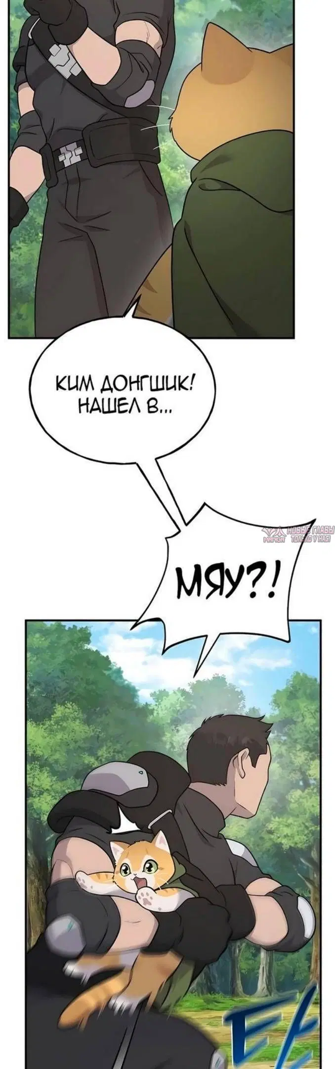 Page 54.000
