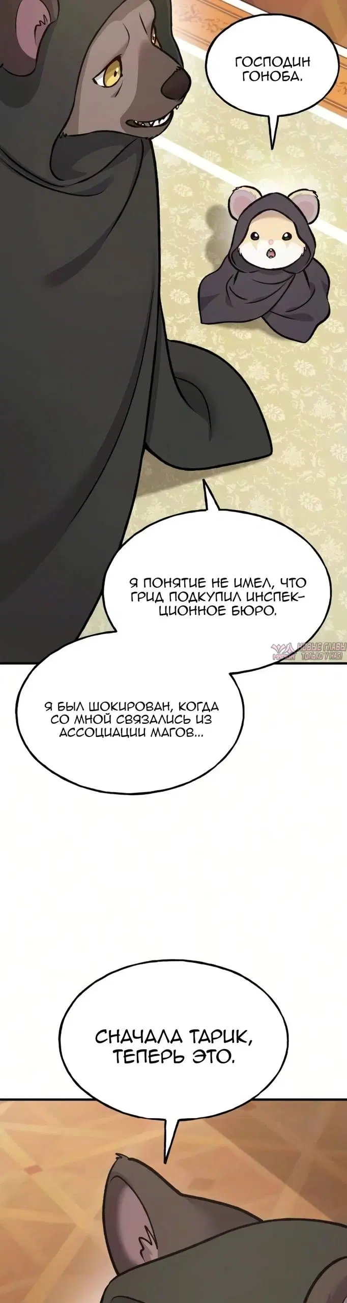 Page 54.000
