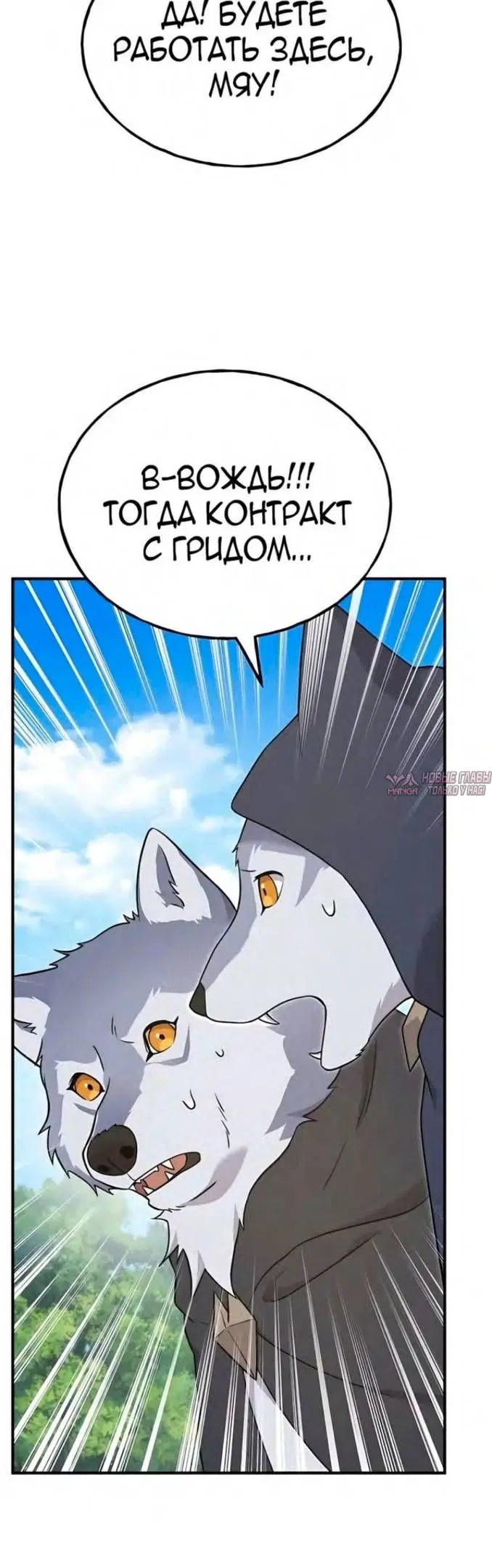 Page 55.000