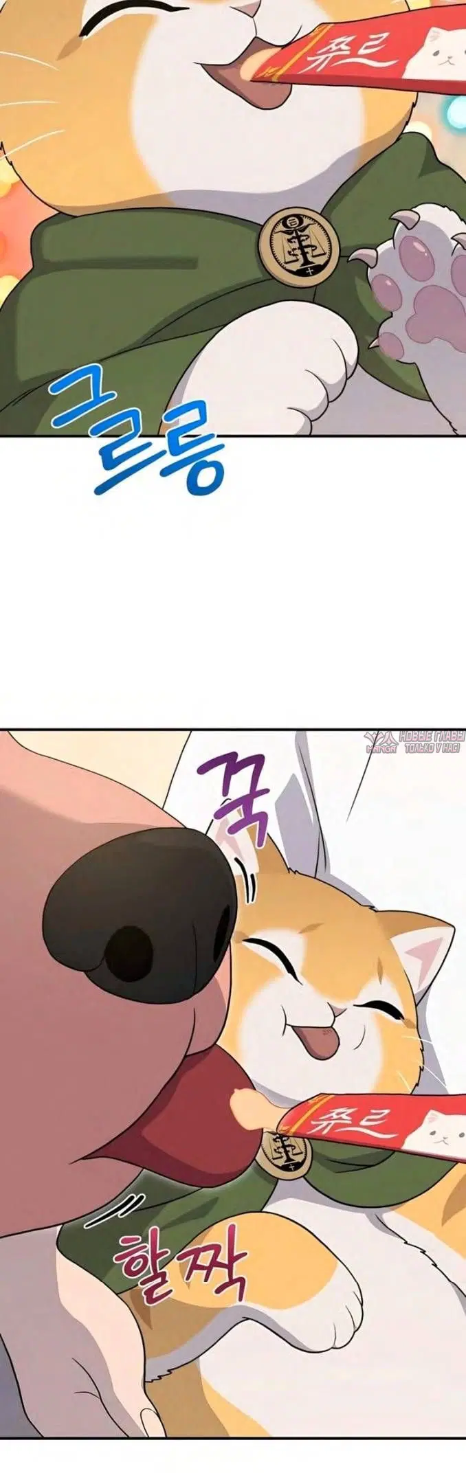 Page 55.000
