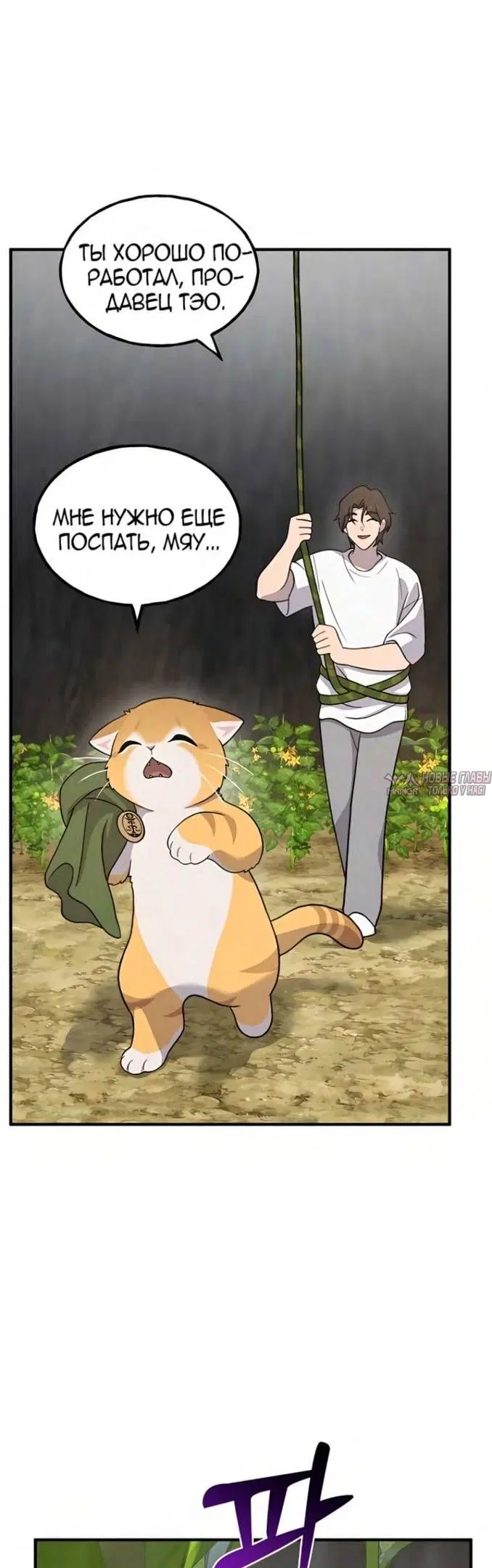 Page 56.000