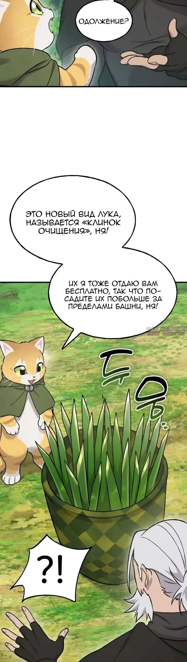 Page 56.000