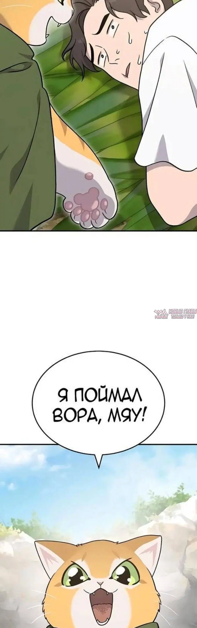 Page 58.000
