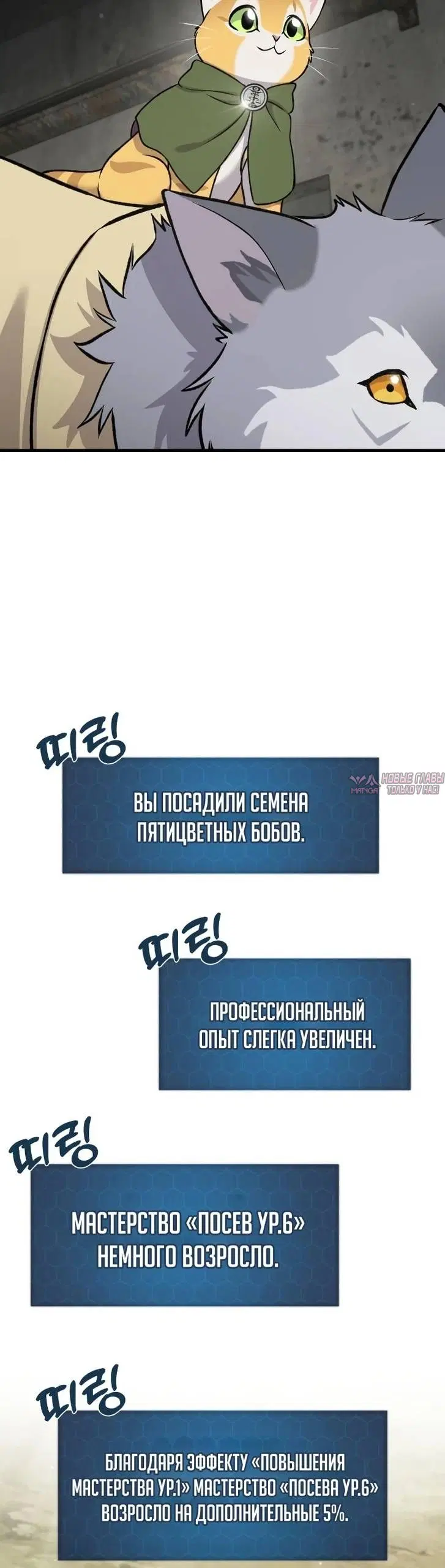 Page 59.000
