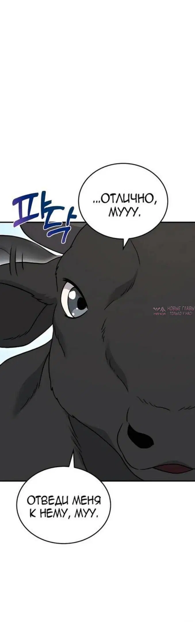 Page 50.000