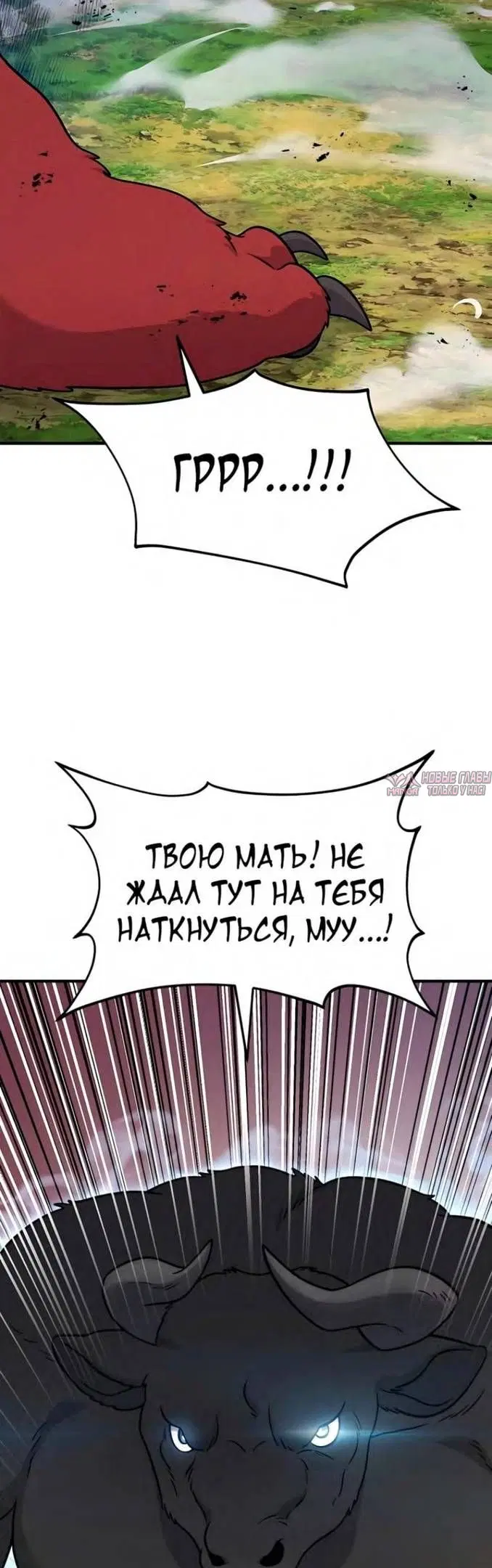 Page 50.000