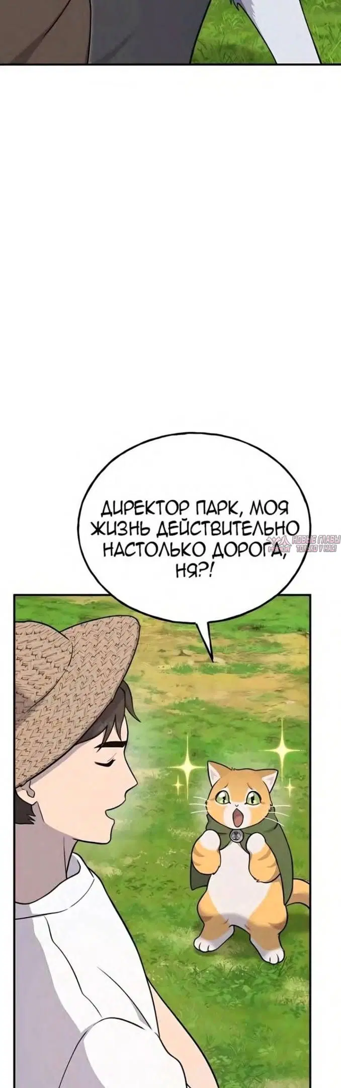 Page 50.000