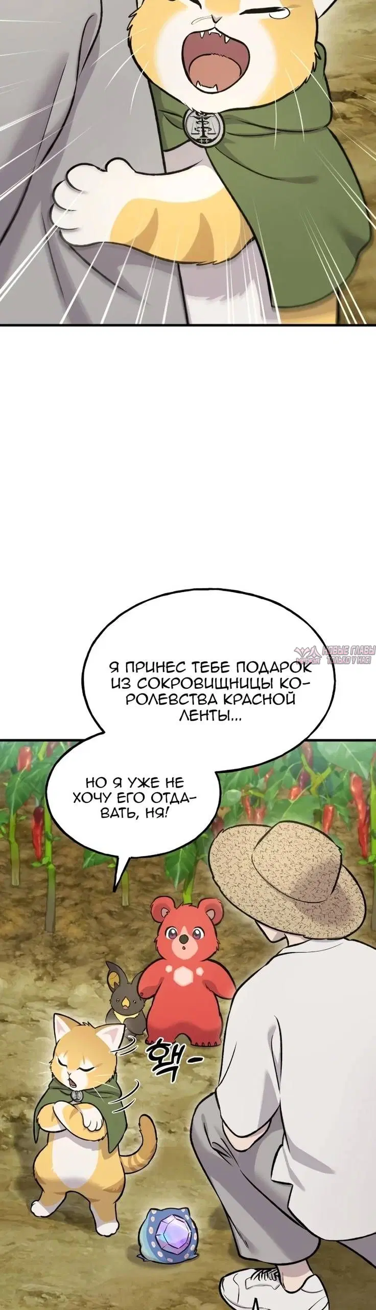 Page 50.000