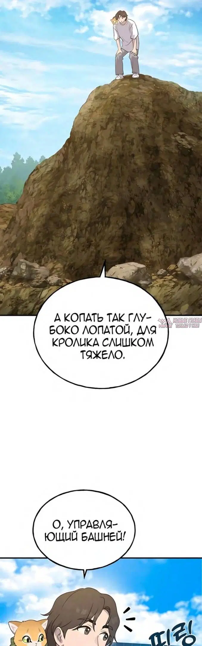Page 51.000