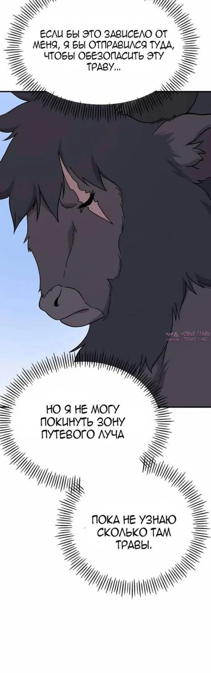 Page 51.000