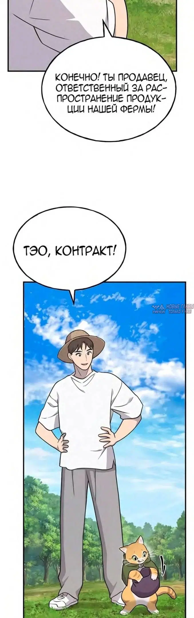 Page 51.000