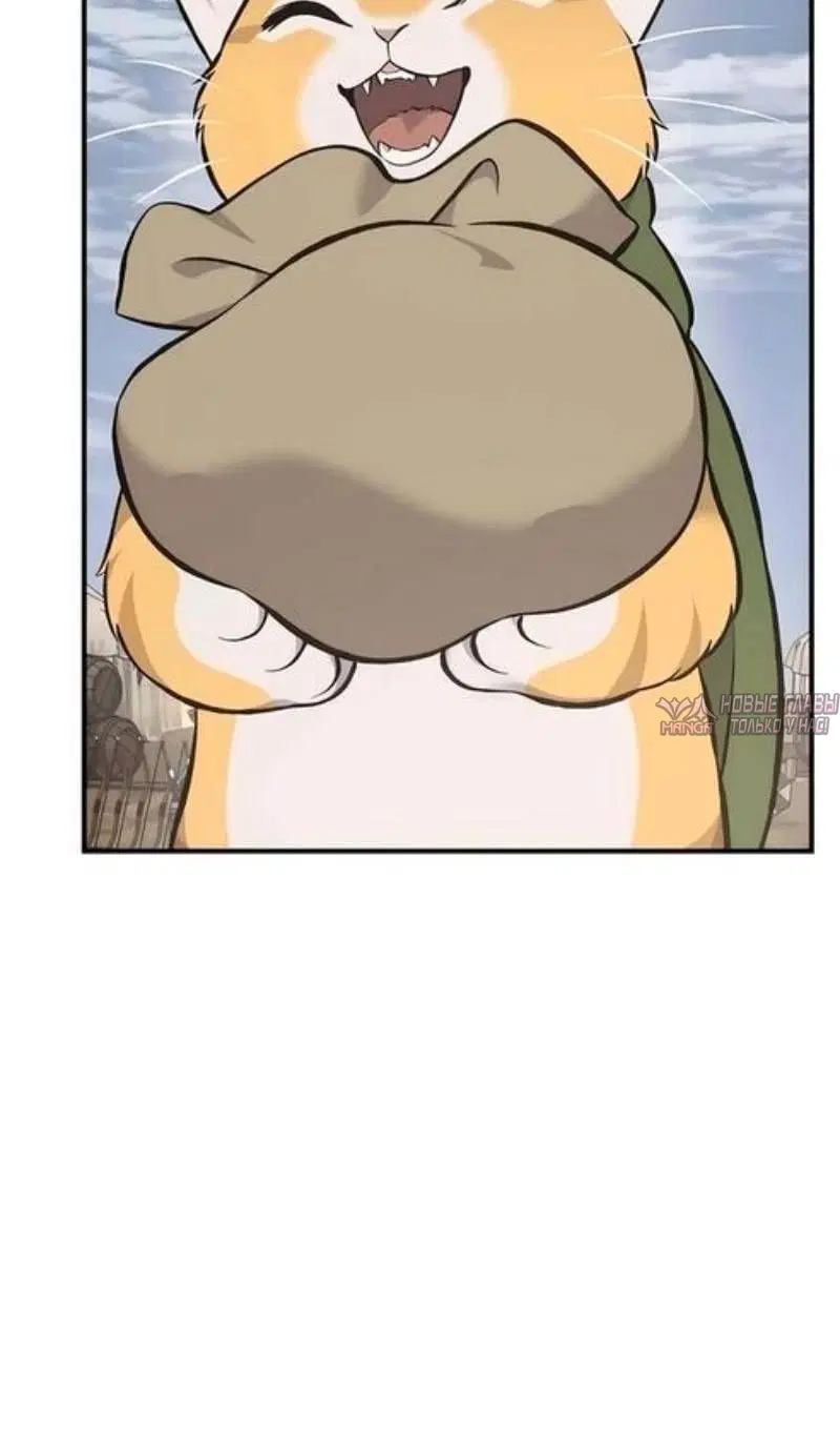Page 51.000