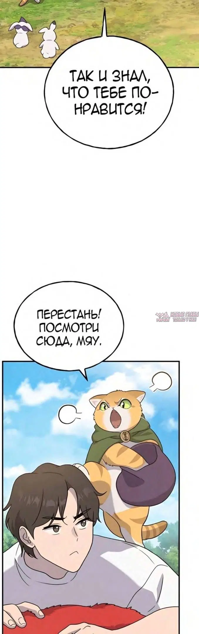 Page 51.000